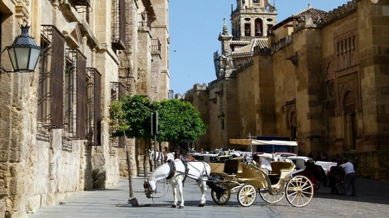 Why Study in France?